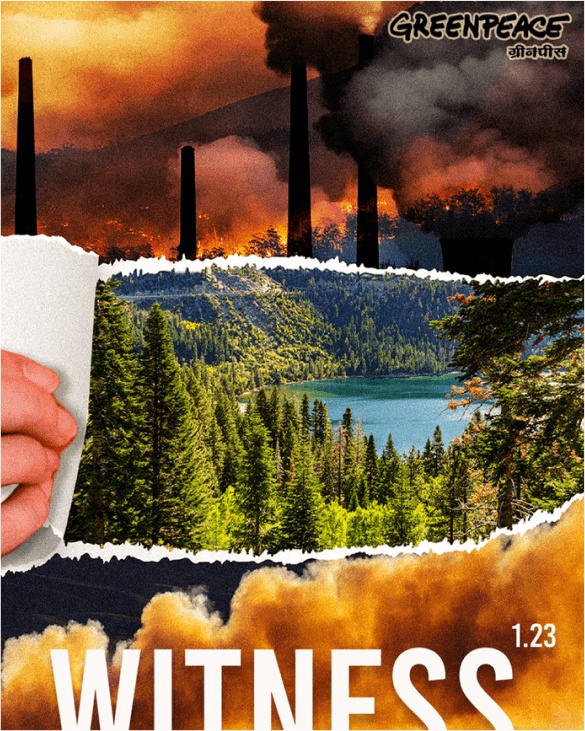 greenpeace/gallery/10.png